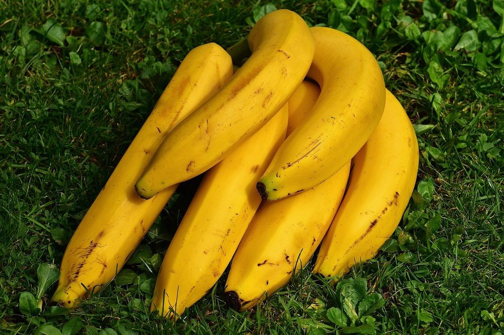¿Cuáles son los beneficios del plátano?